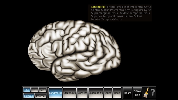 Cerebrum ID