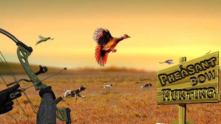 Pheasant Bow Hunting Pro