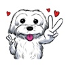 Adorable Maltese Dog - Maltmoji Emoji Sticker