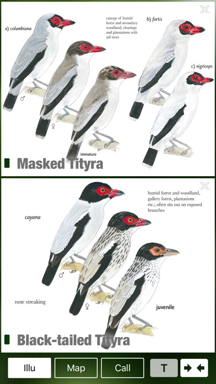 All Birds Guianas, Suriname, Guyana, French Guiana screenshot-3