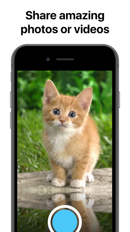 Catify - Cat Effects Camera