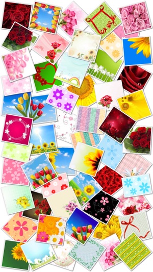 Flower Greeting Cards(圖2)-速報App