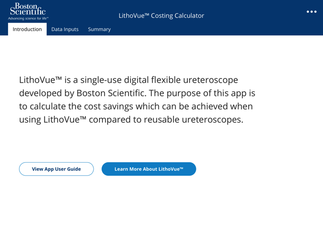 LithoVue™ Costing Calculator