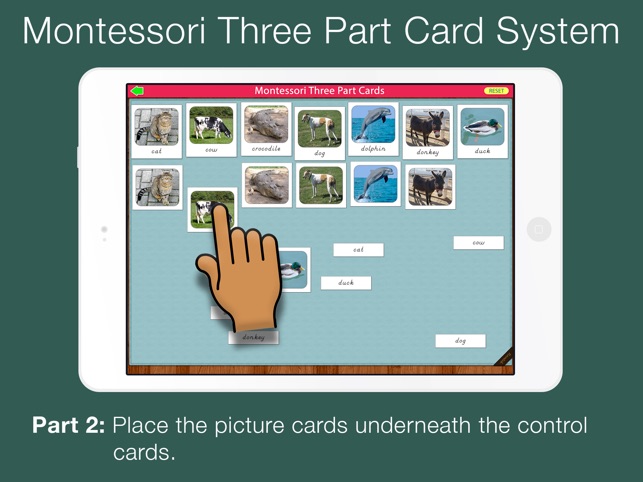 Montessori Three Part Cards(圖3)-速報App