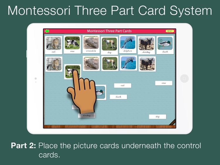 Montessori Three Part Cards