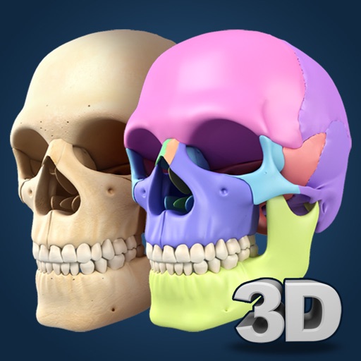 My Skull Anatomy iOS App