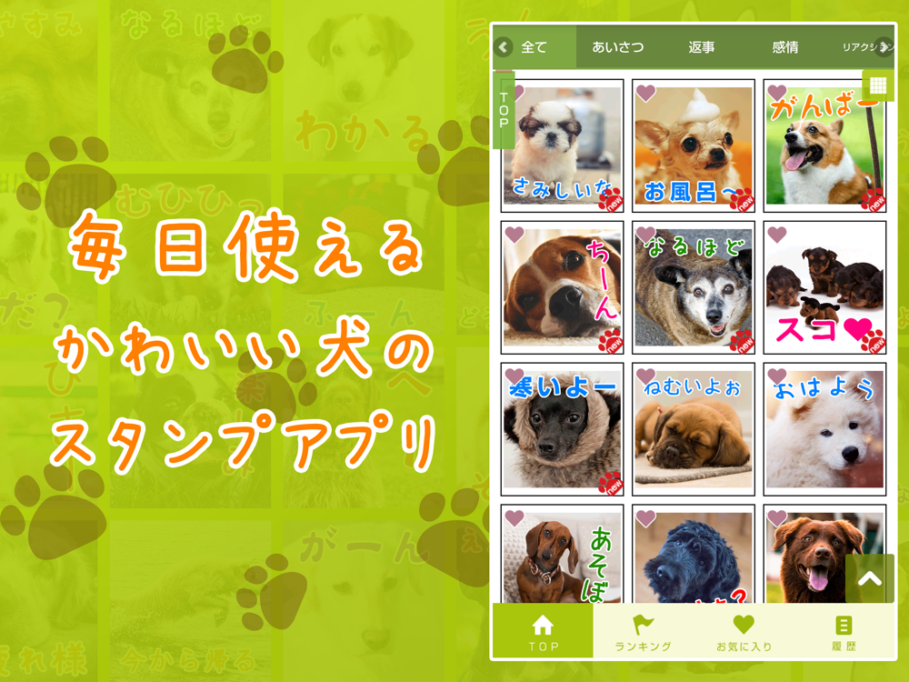 いぬスタンプ かわいい犬のスタンプアプリ Free Download App For Iphone Steprimo Com