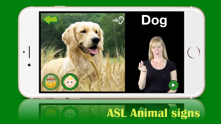 ASL Animals - Lite