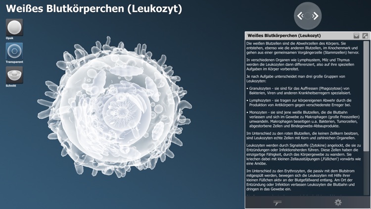 bodyxq cell library