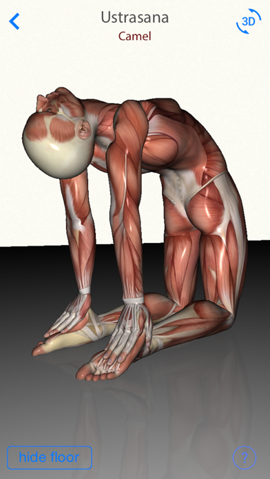 3D Yoga Anatomy Lite screenshot1