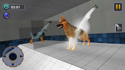 Dog Race & Stunts Wash Thru screenshot 4