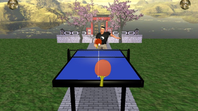 Zen Table Tennis(圖3)-速報App