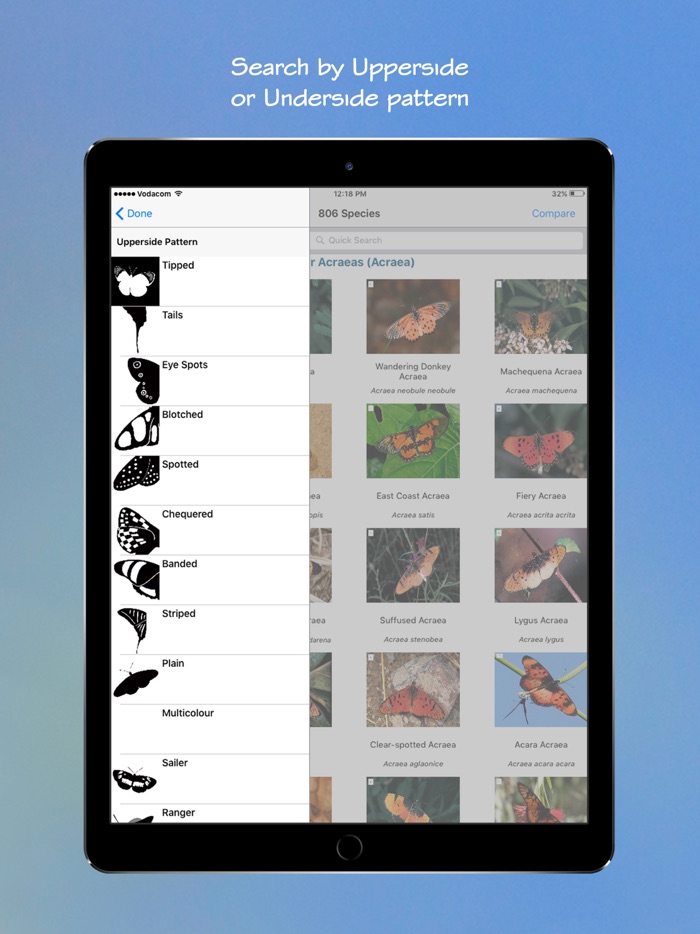 Woodhall’s Butterflies RSA