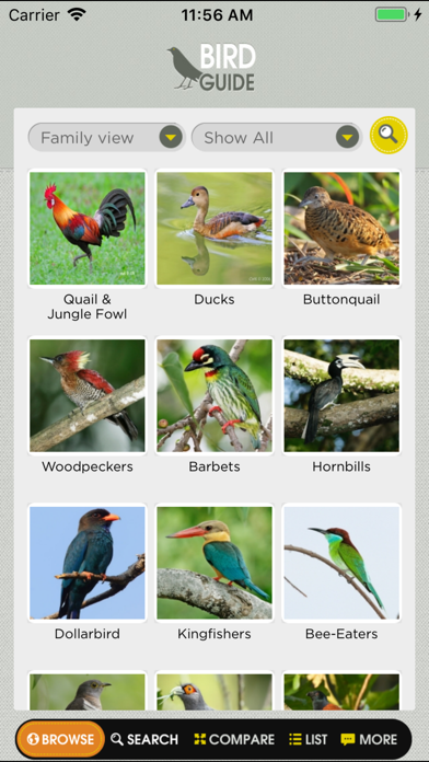 How to cancel & delete Birds of Singapore from iphone & ipad 3