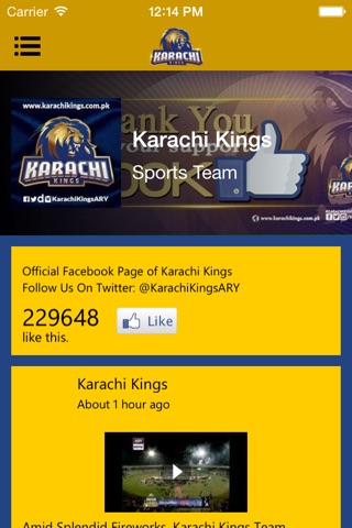 Karachi Kings screenshot 4
