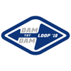 MYLAPS Experience Lab - Dam tot Damloop 2018 kunstwerk