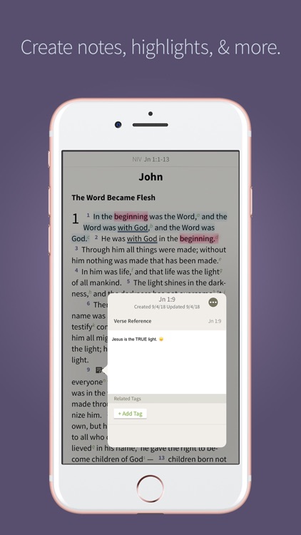 Bible by Olive Tree screenshot-3