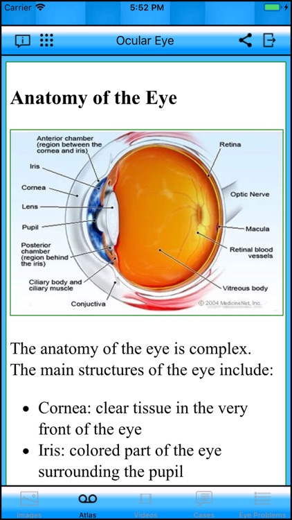 Ocular Eye screenshot-6