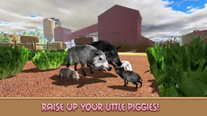 Life of House Pig Simulator screenshot 3