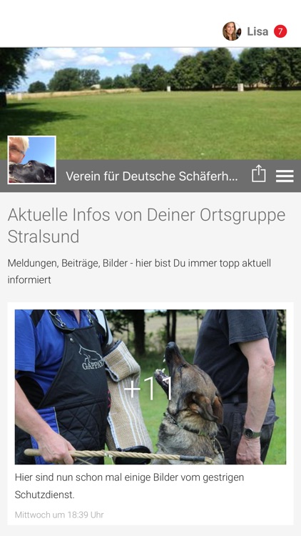 Verein Schäferhunde Stralsund