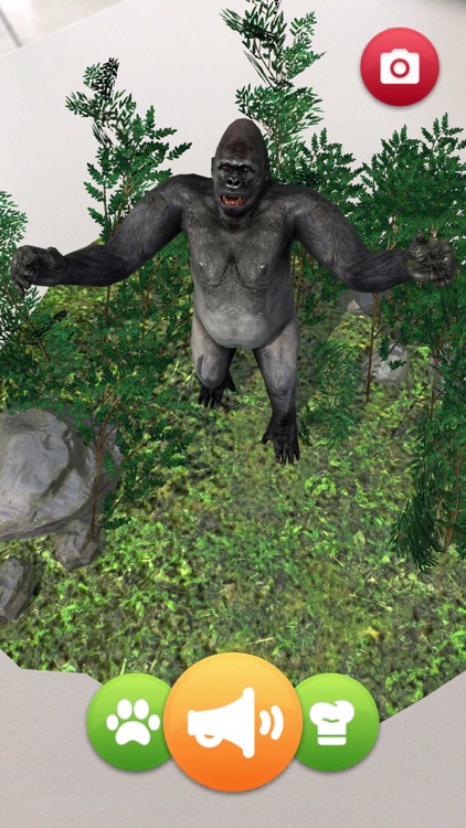 Colleziona La Natura