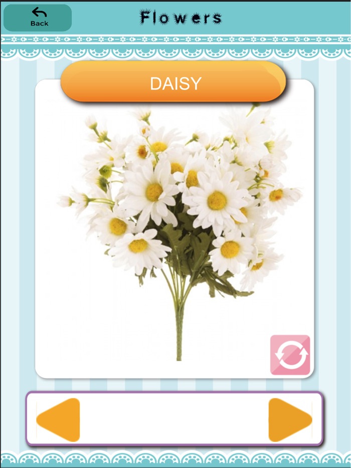 English FlashCard Kids