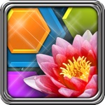 HexLogic - Flowers