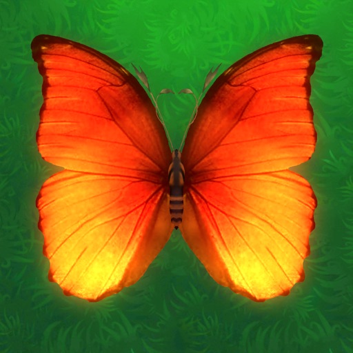 Pop Butterfly icon