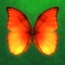 "Pop Butterfly" is a relaxed and addictive 3D game