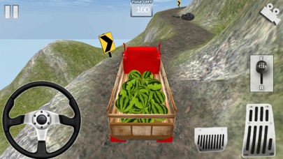 Truck Simulator Pro screenshot 4