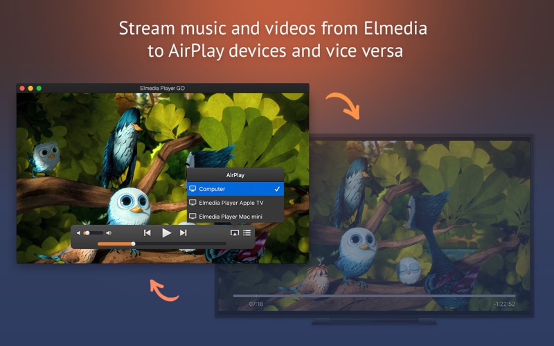 Elmedia_Player_GO.app caprure 5 5_Elmedia_Player_GO.jpg
