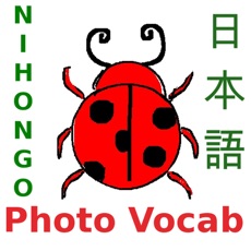 Activities of Nihongo Vocab: Picture Quiz