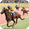 Horse Racing Jump 3D