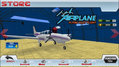 Airplane Flying Pilot Flight Screenshot 2