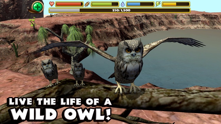 Owl Simulator screenshot-0