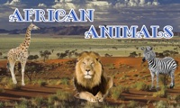 African Animals