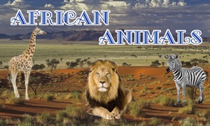 African Animals