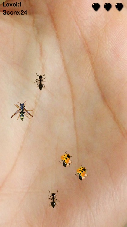 Ant Killer Insect Smasher screenshot-3