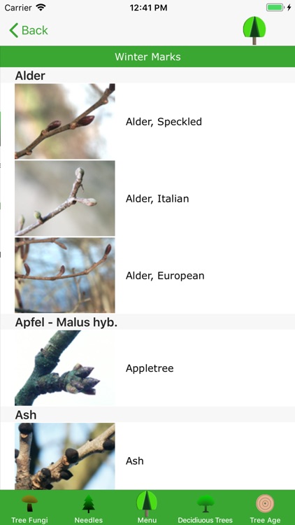 tree-guide screenshot-4