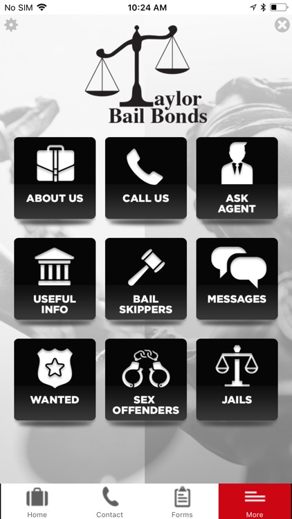 Taylor Bail Bonds screenshot-3