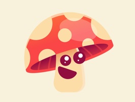 Identifying mushrooms requires a basic understanding of their macroscopic structure