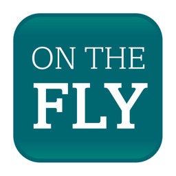 Brio Insurance on the Fly