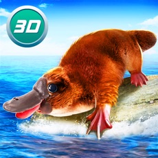 Activities of Platypus Simulator 3D