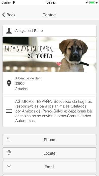 Amigos del Perro screenshot 3