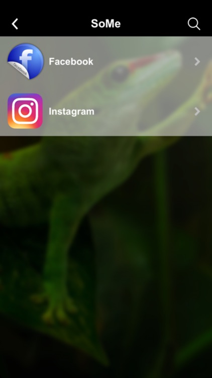 Reptilen.no screenshot-3