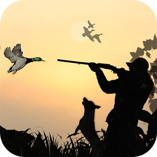 Hunting Animals 3D for ios download free