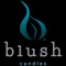 The Blush Candles app is a transactional, custom app that helps Consultants manage their business and back office