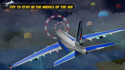 Airplane Flying Pilot Flight Screenshot 4