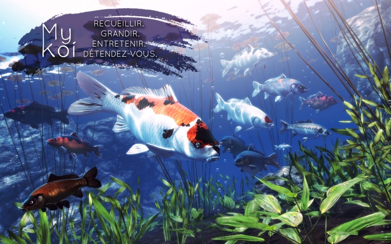 Screenshot My Koi