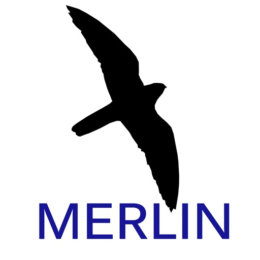Merlin Portal Icon